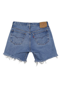 Vintage Levi’s Shorts • 28 wmns