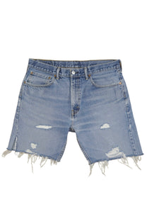 Vintage Levi’s Shorts • 34 mens / 32 wmns